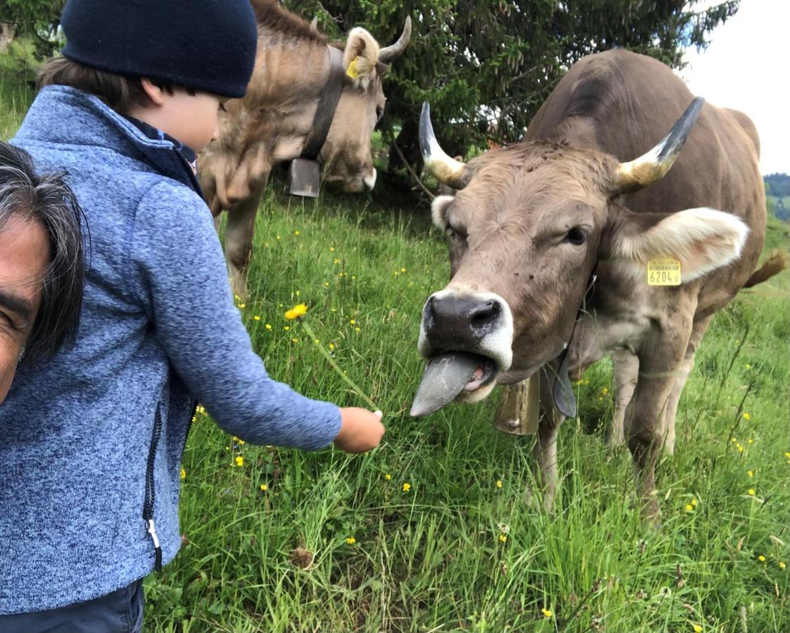 Ferienwohnungen Mit 4 Betten In Gersau Direkt Am Vierwaldstaettersee Экстерьер фото
